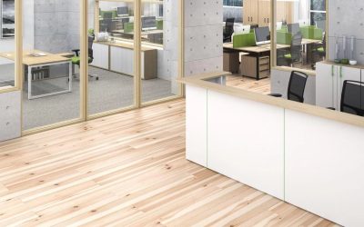 Menadžerski programi Nova Executive