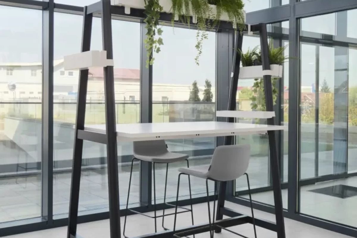Phoenix grupa recepcija