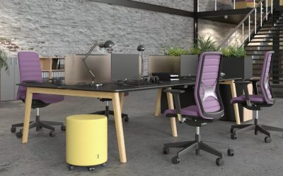 Uredski stolovi od punog jasena Nova Wood