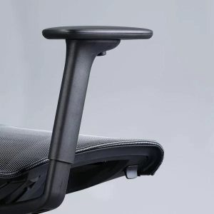Narbutas D-Chair karakteristike 1